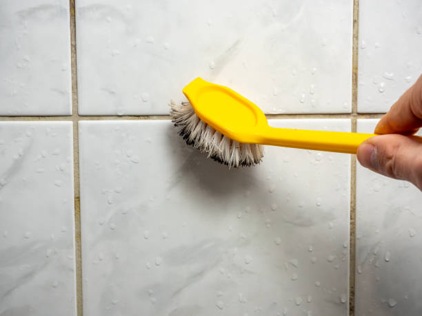Best Mold Damage Repair  in Remsenburg Speonk, NY